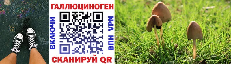 Псилоцибиновые грибы Psilocybine cubensis  Кологрив 