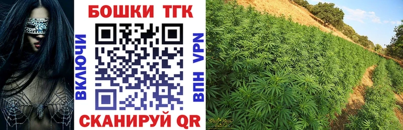 omg ТОР  Кологрив  Конопля ГИДРОПОН 